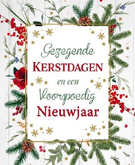 Kerstkaarten 9518